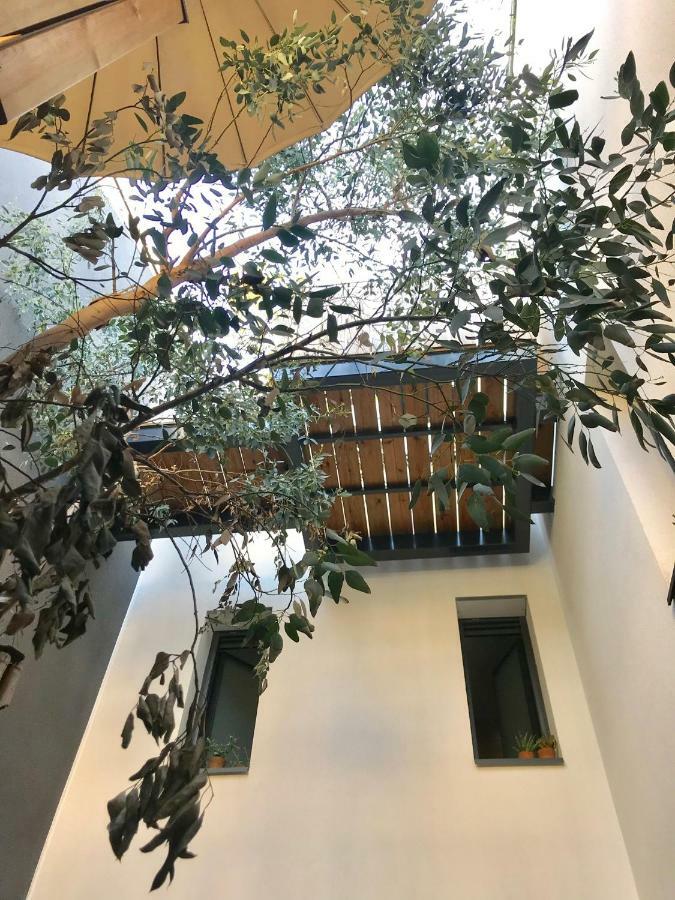 Aux Terrasses Bed & Breakfast Bordeaux Dış mekan fotoğraf